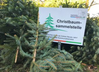 christbaumsammlung inkb kraus 1000