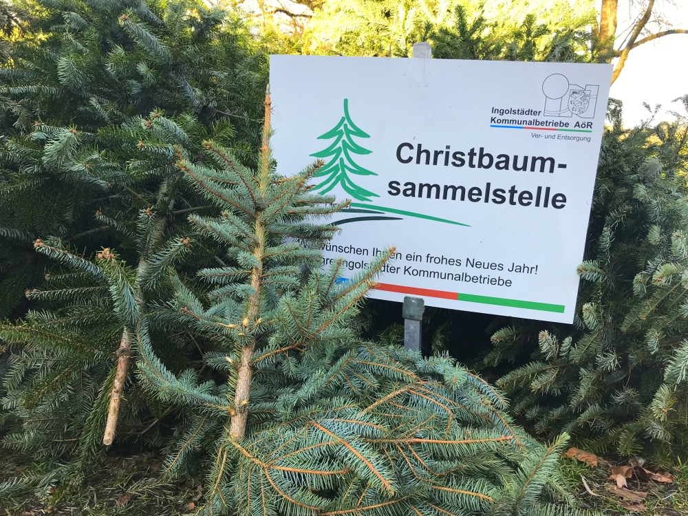 christbaumsammlung inkb kraus 1000