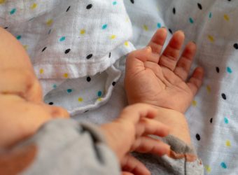 baby pixabay -hand-1000