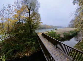 Steg an der Ludlmündung erhalten