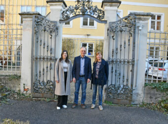 Personal Freiwilligendienste der Caritas