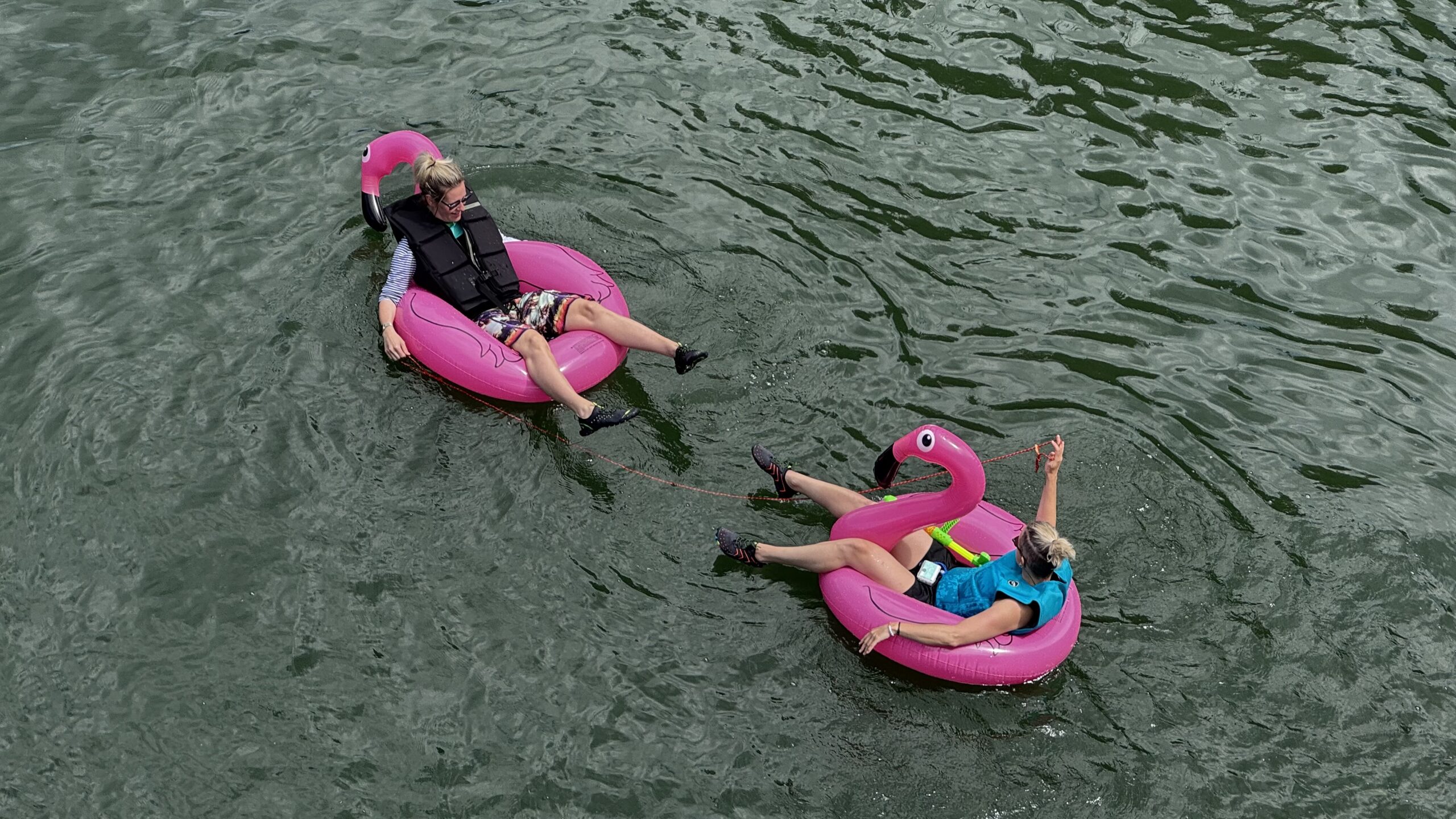 Donauschwimmen