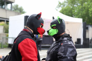 CSD