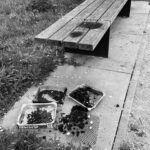 Sachbeschädigung im Piuspark