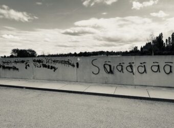 Sachbeschädigung im Piuspark