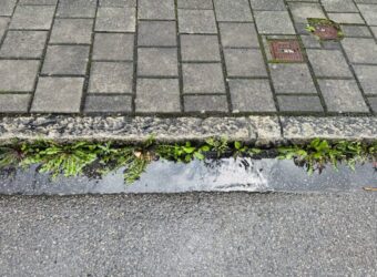 Bewachsene Abfallrinnen