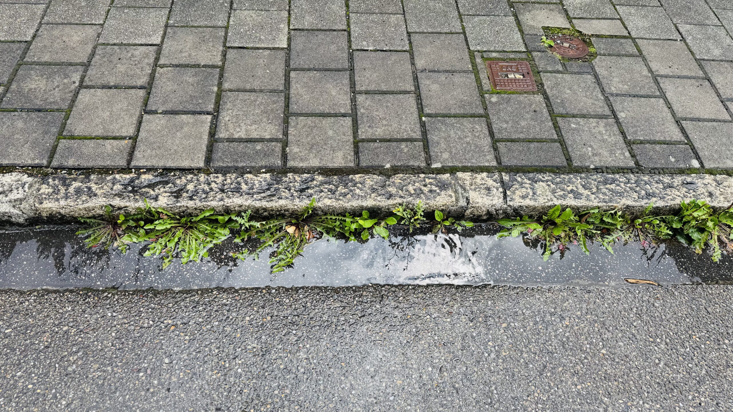 Bewachsene Abfallrinnen