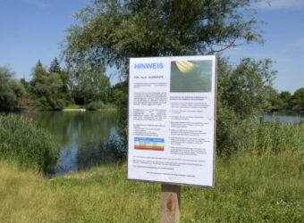 Blaualgen