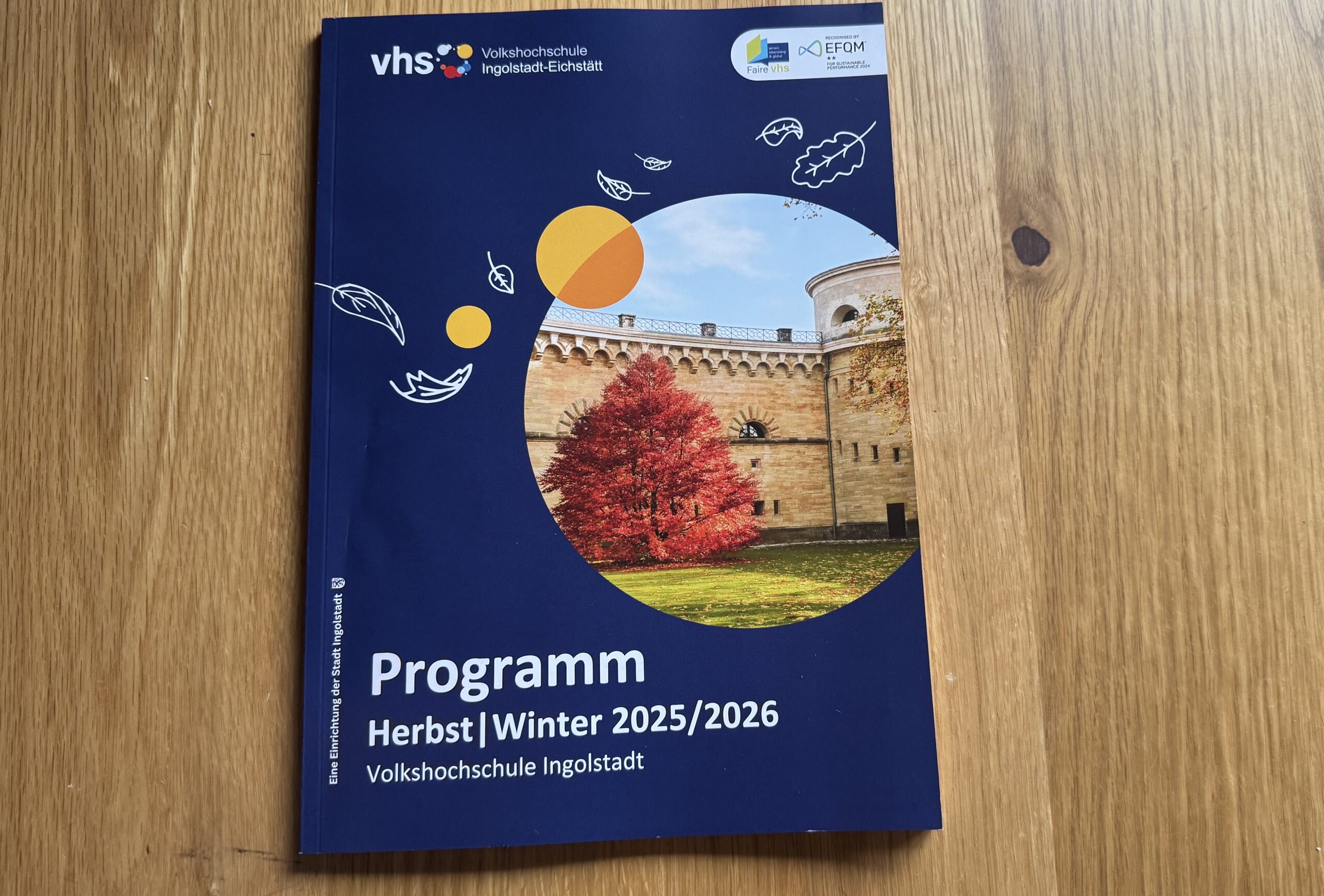 VHS Programm 2025 Winter