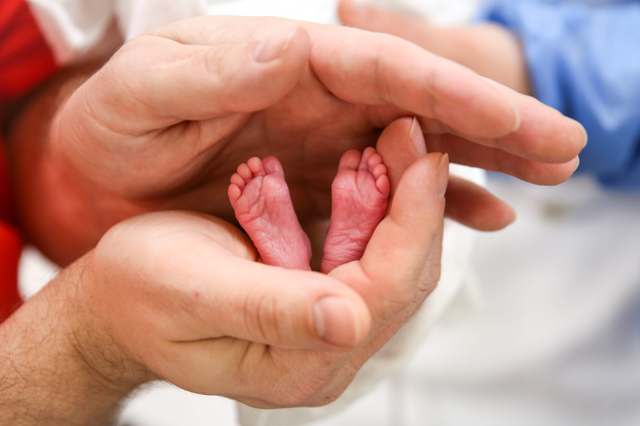 Foto: Bettina Schulz