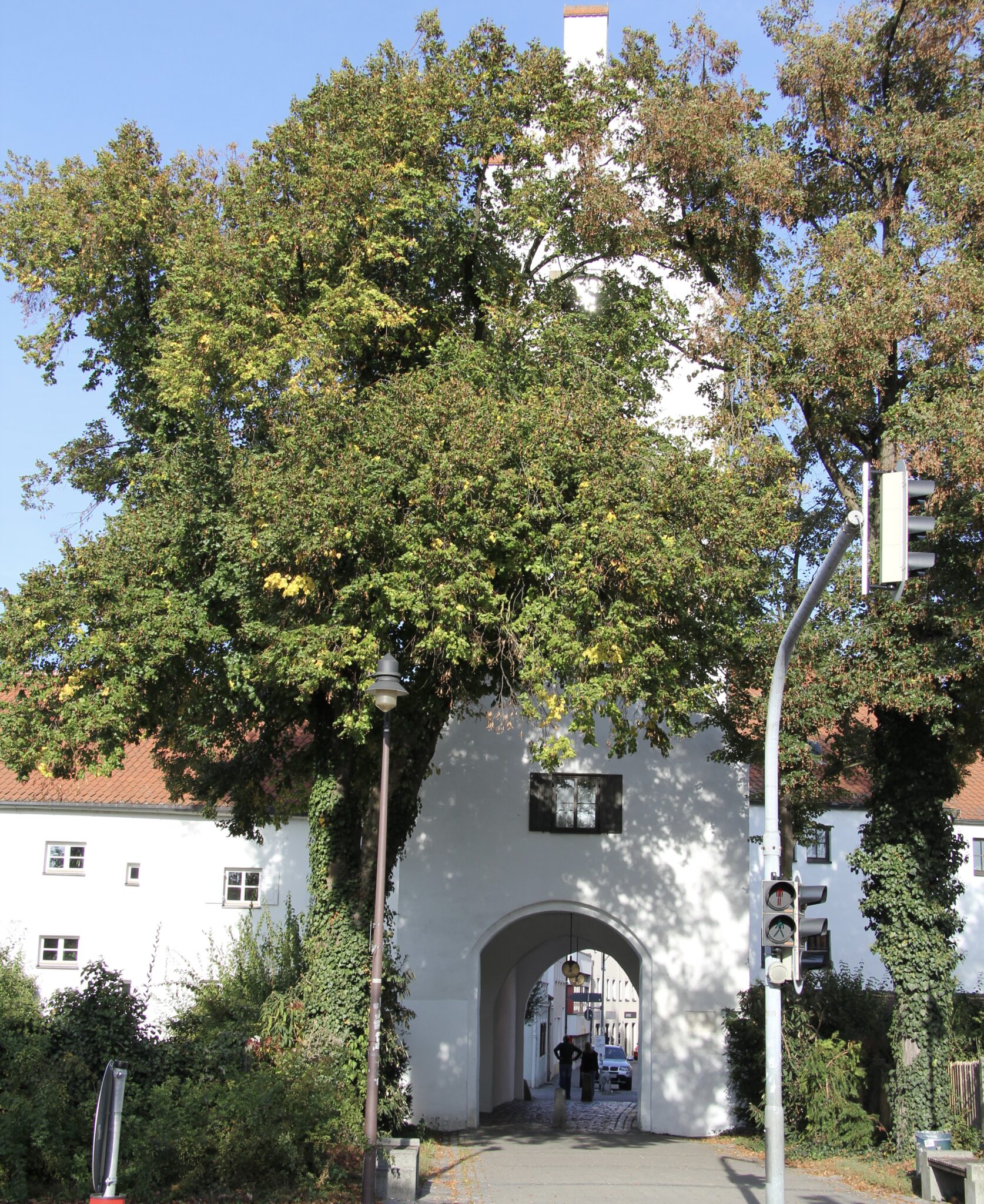 Von Franconia - Eigenes Werk, CC BY-SA 3.0, https://commons.wikimedia.org/w/index.php?curid=17226257