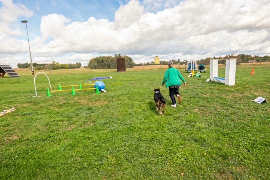 Hundefestival in Gaimersheim
