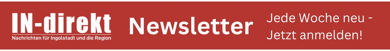 IN-direkt Newsletter