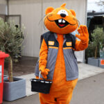 Spindler Dachdeckerei Spindler Dachdeckerei