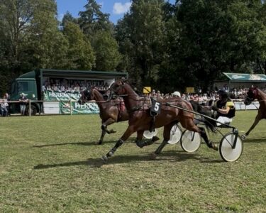 Barthelmarkt Oberstimm Pferderennen
