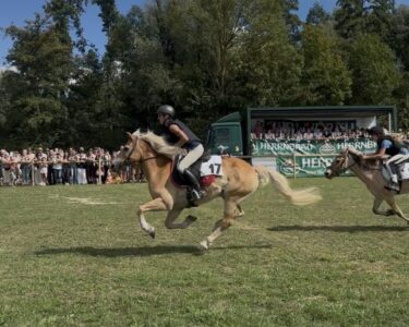 Barthelmarkt Oberstimm Pferderennen