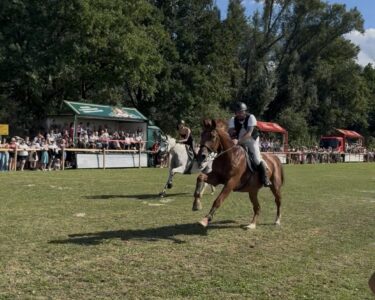 Barthelmarkt Oberstimm Pferderennen