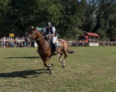 Barthelmarkt Oberstimm Pferderennen