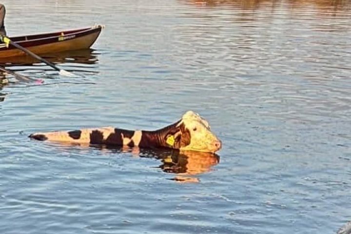 0748D1C3-5A59-4A92-BB55-92BB3B2B94E4