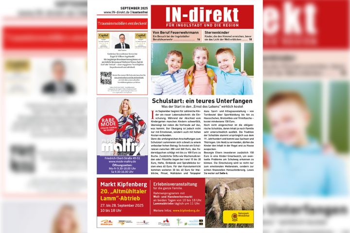 2025_KW_35 IN-direkt-web2