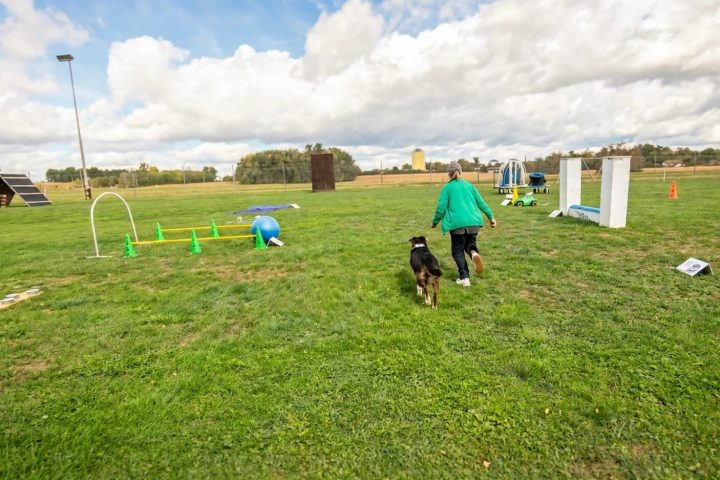 Hundefestival in Gaimersheim