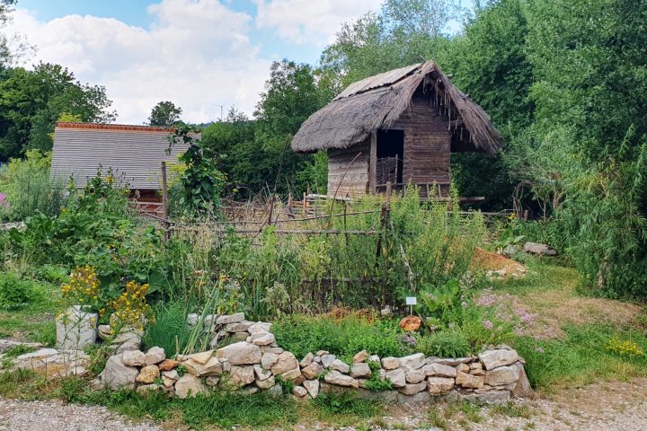 Keltendorf Alcmona
