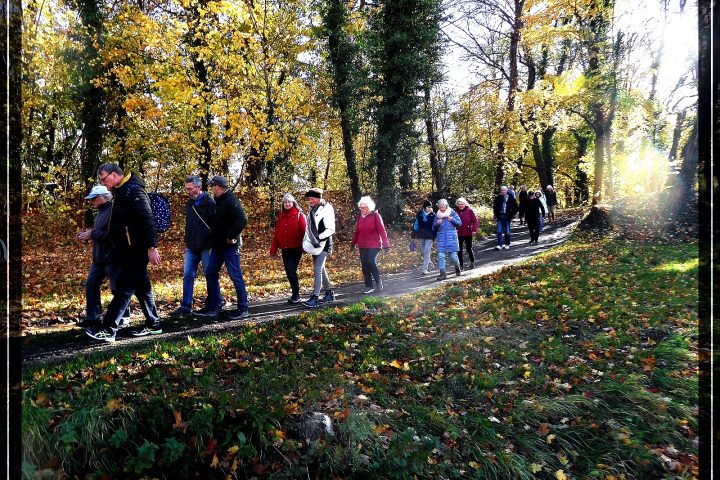 Franz Blank-30.10.2025 SW ab Theater Anker -- 32