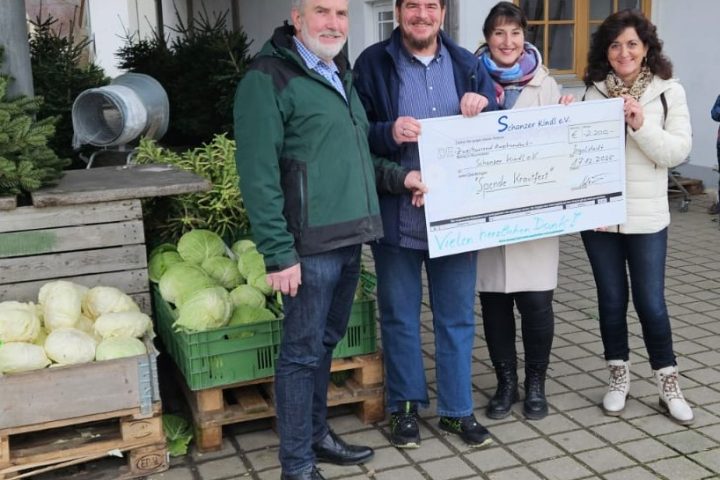 Krautfest Spende