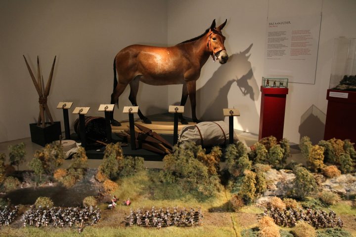 kelten römer Museum-Max Förster