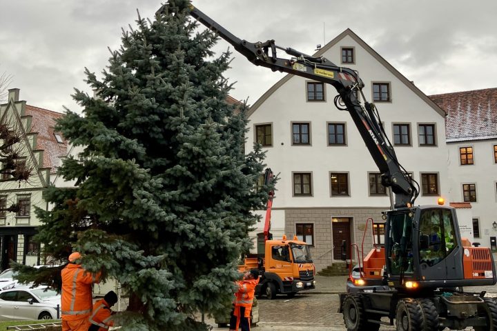 Christbaum Aufbau Karlsplatz 2025 2