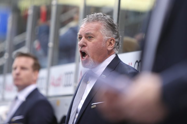 DEL - Eishockey - Saison 2018/2019 - ERC Ingolstadt - Kölner Haie - Playoff - Viertelfinale - Spiel 4 - Doug Shedden (Cheftrainer ERCI) schreit - Foto: Meyer Jürgen