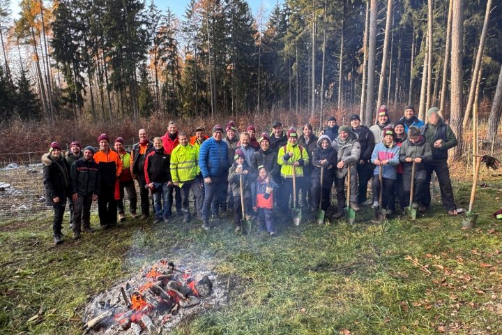 Baumpflanzaktion Sparkasse