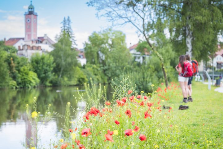 Eichstätt-Foto: Denger