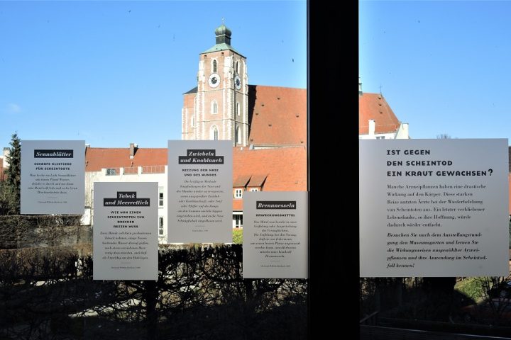 Fenster DMMI