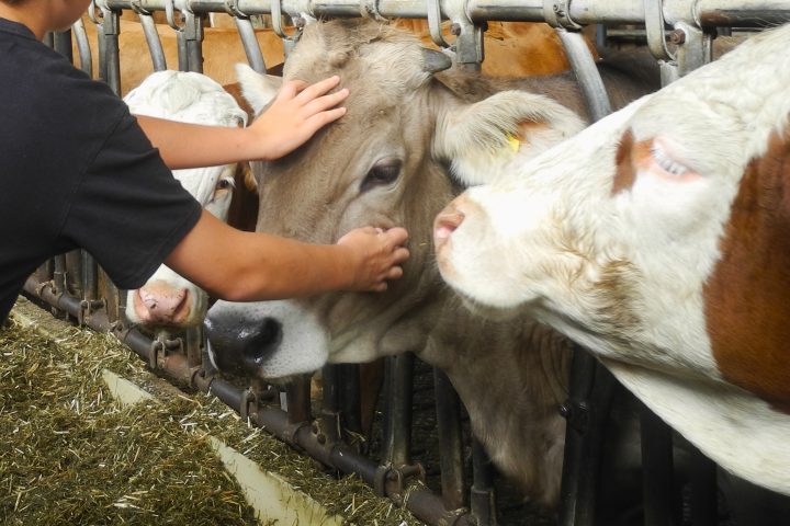Fit-TagAmt für Ernährung, Landwirtschaft und Forsten Ingolstadt – Pfaffenhofen a. d. Ilm