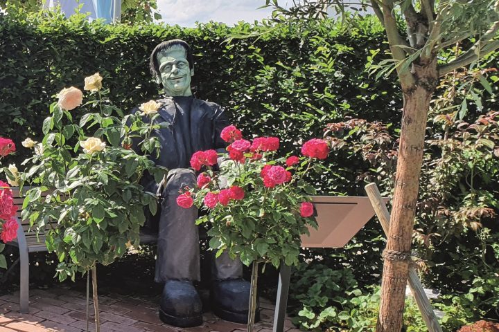 Frankenstein Uli Linder