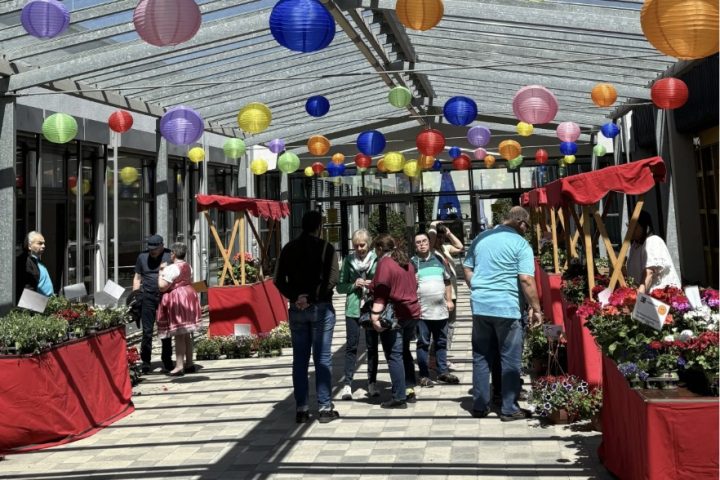 Frühlingsfest Neuburg 2026