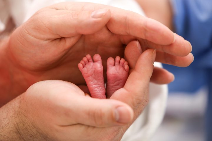 Harl.e.kin 2 Frühgeborenes