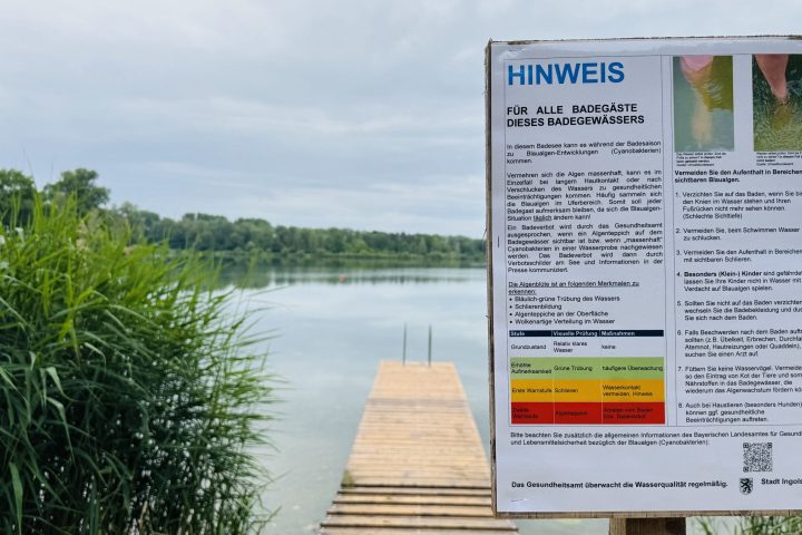 Blaualgen Baggersee