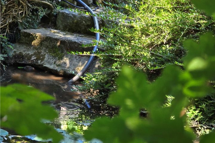 Wasser aus der Schutter