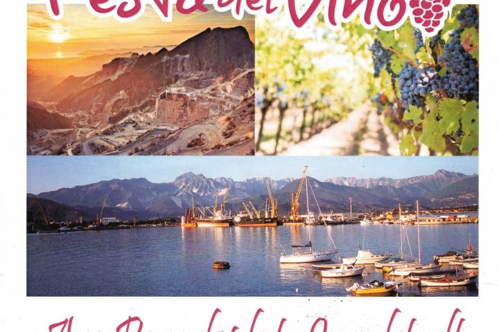 40. Carrara Weinfest