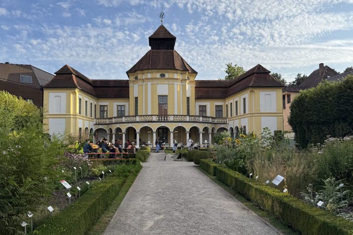 Medizinhistorisches Museum