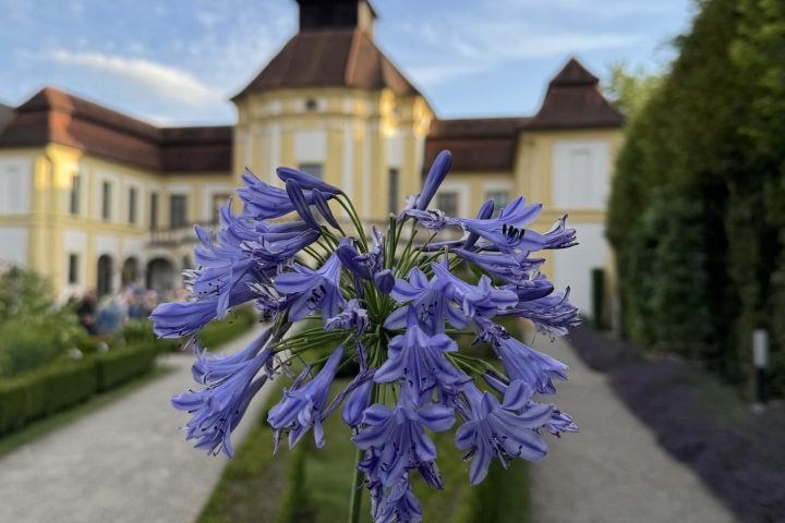 Medizinhistorisches Museum-Hartmann