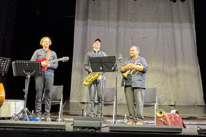 Boyle bei "Literatur und Jazz"