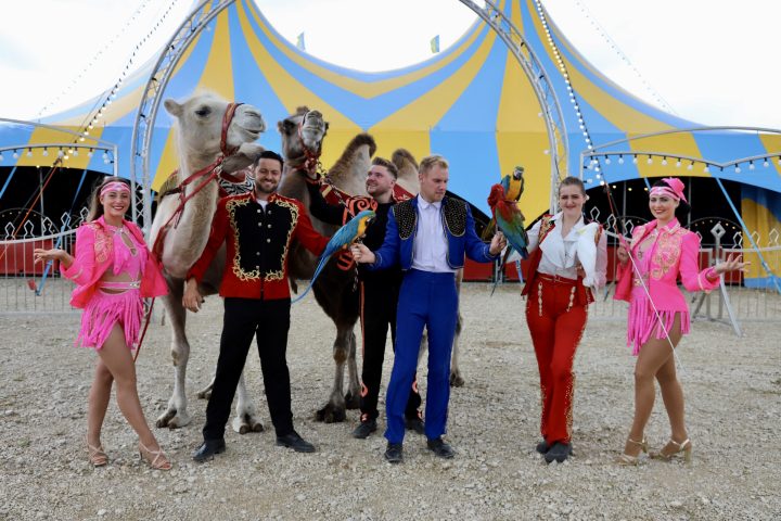 Circus Salto