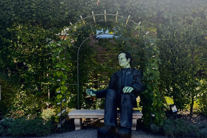 Frankenstein