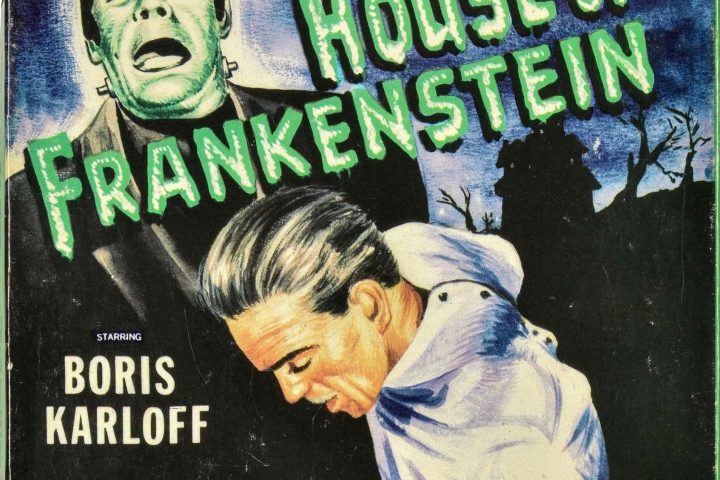 Frankenstein/DMMI