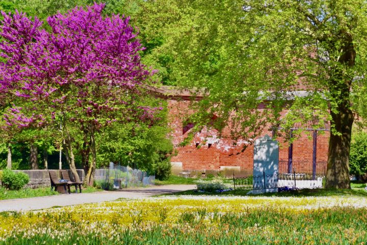 Flankenbatterie/Klenzepark