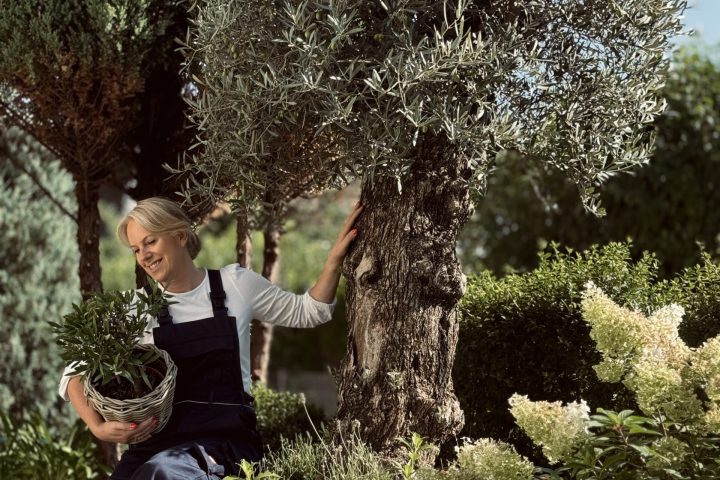 Die Olivenflüsterin