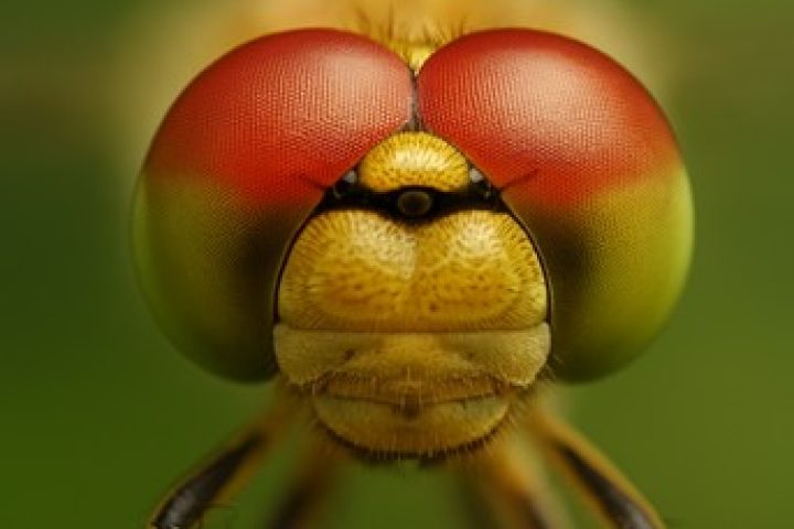 Urban Air Mobility ideenbörse